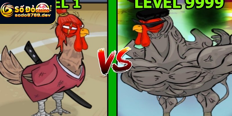 Aog Đá Gà - Giới Thiệu, Đặc Điểm, Cách Chơi Và Tương Lai 2 Giới thiệu chung và chi tiết về Aog đá gà