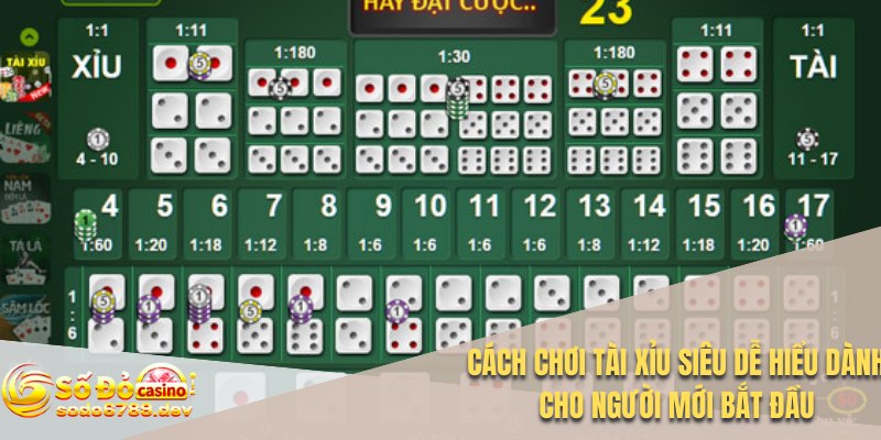 Cách Chơi Tài Xỉu Siêu Dễ Hiểu Dành Cho Người Mới Bắt Đầu 1 Cách chơi tài xỉu