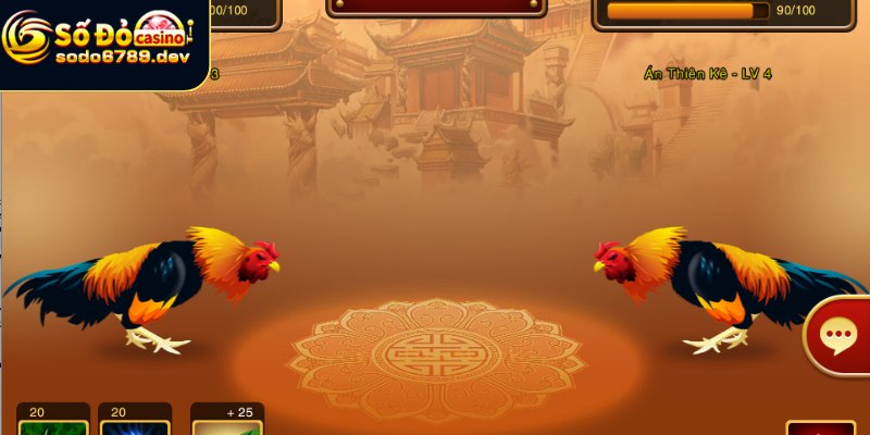 Giới thiệu thông tin về đá gà Sodo6789