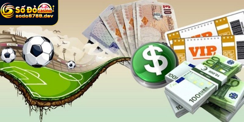 Đại Lý Sodo6789 - Nền Tảng Cá Cược Uy Tín Cho Người Chơi 4 Đăng ký tham gia đơn giản với Sodo6789