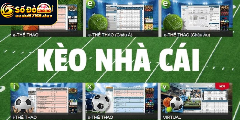 Kèo Nhà Cái - Giải Thích Các Loại và Cách Đọc Kèo Chính Xác 4 Đọc tỷ lệ kèo sao cho đúng và hiệu quả