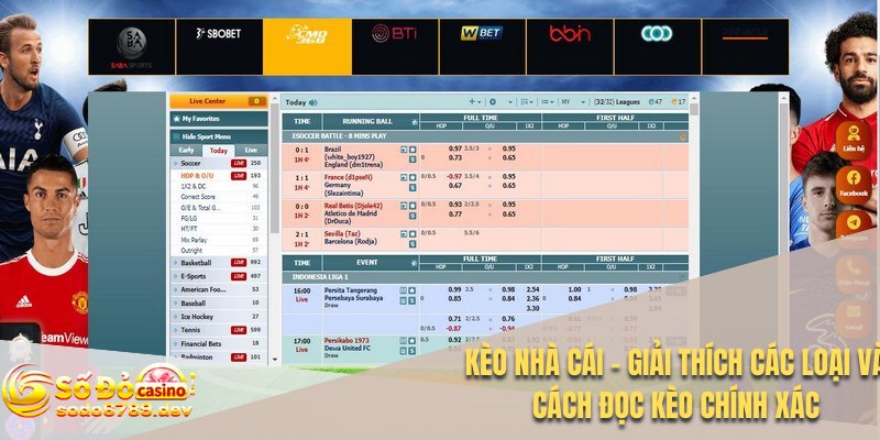 Kèo Nhà Cái - Giải Thích Các Loại và Cách Đọc Kèo Chính Xác 1 Kèo nhà cái