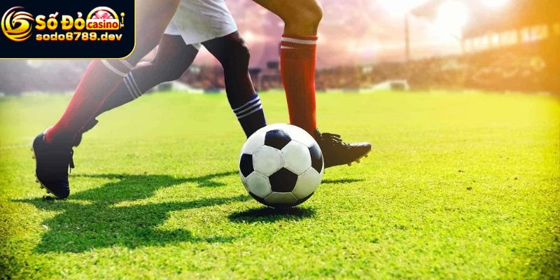 Tìm hiểu thể thao Sodo6789 chi tiết